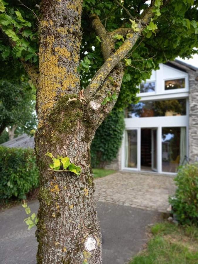Li Gurni Villa Houffalize Luaran gambar